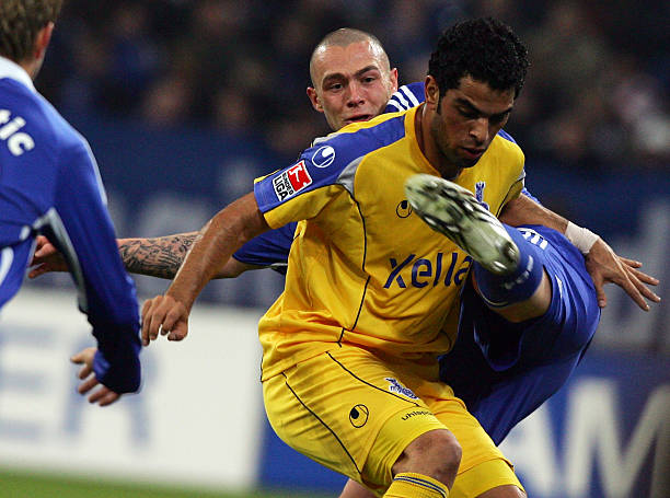 莱顿的现有 莱顿的现有