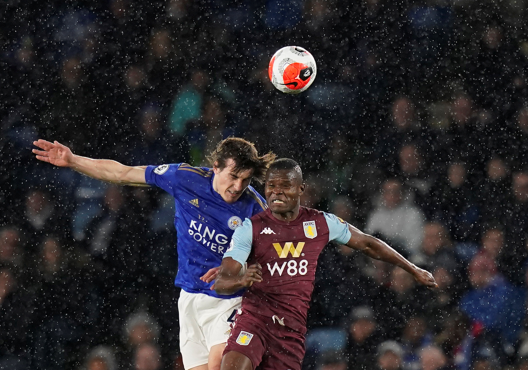 体育组织的 体育组织的